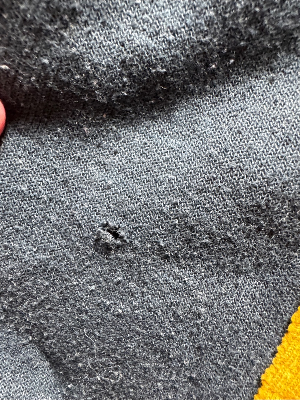 Aviator Nation Dark Gray Sweatshirt with Yellow Accent - Picture 2 of 5